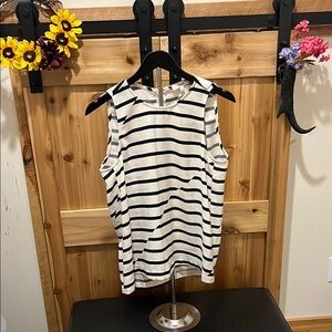 Madewell Navy and White Striped Sleeveless Top